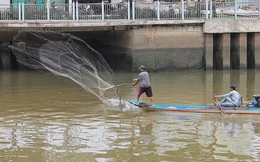 Ông Đoàn Ngọc Hải đề nghị xử lý người bắt cá kênh Nhiêu Lộc