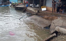 Cà Mau: Sạt lở trong đêm nhấn chìm 3 căn nhà xuống sông