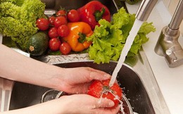 Xử trí và phòng tránh ngộ độc thực phẩm trong mùa nóng
