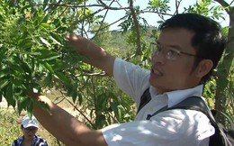Ước vọng từ nhà khoa học trẻ để người Việt có lá gan khỏe mạnh