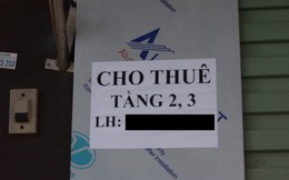 Cà phê băng, robot, bò sát... và dấu chấm hỏi về tuổi thọ của những quán cà phê “độc”