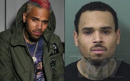 NÓNG: Chris Brown bất ngờ bị cảnh sát bắt khi vừa rời sân khấu