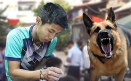 Phản ứng lạ của chú chó dữ lật tẩy hung thủ thảm sát vợ chồng ông chủ và 3 đứa trẻ