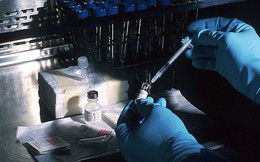 Chuyên gia Harvard thử nghiệm vaccine HIV mới nhất trên người và thu được kết quả "ngoài sức tưởng tượng"