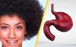 Khám phá cơ thể người: Chỉ cần bạn chải đầu là có 1 cơ quan nội tạng đổi màu