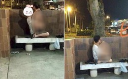 MXH lại dậy sóng vì một cặp đôi "mây mưa" ở ghế đá giữa đường, còn chỉ tay thách thức người chụp ảnh vì tội "làm phiền"