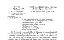 Vaccin phòng bệnh dại do Trung Quốc sản xuất không liên quan đến bê bối vaccin