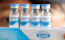 Cục Quản lý Dược gửi văn bản khẩn về vụ bê bối vắc xin phòng dại sản xuất tại Trung Quốc