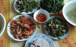 Mâm cơm gia đình tưởng bình thường ở Hà Nội bỗng gây sốt MXH vì 100 nghìn mà đầy ắp thịt, tôm