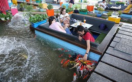 Trải nghiệm uống cà phê giữa hồ cá Koi tiền tỉ ở Sài Gòn
