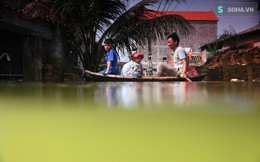 "Thuỷ giới" Chương Mỹ - góc nhìn từ trong lòng nước lũ