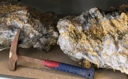 Thợ mỏ phát hiện 2 tảng đá lẫn vàng trị giá 11 triệu USD
