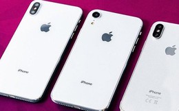 Rò rỉ thêm hình ảnh của iPhone XC, tiết lộ màu sắc mới và bí mật của khay SIM