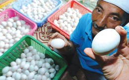 Khởi nghiệp từ 50 con vịt, cặp vợ chồng kiếm gần 70 triệu đồng mỗi tháng nhờ bán trứng vịt