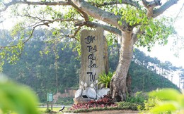 Ảnh: Địa Tạng Phi Lai - ngôi chùa cổ nghìn năm ở Hà Nam