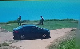 Hai thanh niên đi ô tô trộm cỏ trên núi Sơn Trà lén lút mang trả lại