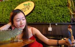Giới trẻ Campuchia bị hút hồn với quán cà phê bò sát