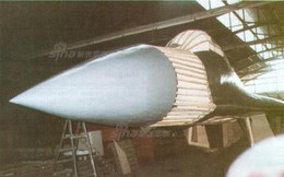 Nam Tư học Việt Nam chế tạo MiG-29 bằng tre nứa đánh lừa không quân hiện đại NATO?