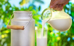 Thực phẩm giúp chắc khỏe xương trẻ đang phát triển rất cần