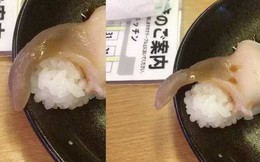 Nhà hàng Nhật Bản phục vụ sushi vẫn còn ngọ nguậy chơi đùa với thực khách làm dân mạng phát khiếp