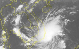 UBND TP HCM chỉ đạo khẩn ứng phó bão số 8