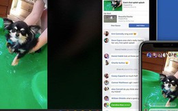 Facebook Messenger chuẩn bị có tính năng mới, cho phép xem chung video với bạn bè