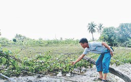 ‘Chạy lũ chồng lũ, tôi trắng tay rồi, chú à!’
