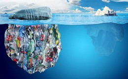Rùng mình nghĩ về ngày rác thải nhựa nhiều hơn cá biển!
