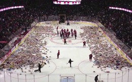 Clip: Cổ động viên hò hét rồi ném 34 nghìn con gấu bông xuống sân hockey và câu chuyện đầy cảm động phía sau