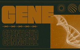 Chỉnh sửa gen người: Mọi con đường dẫn đến địa ngục đều được lát bằng những thiện ý