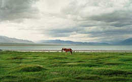 Cuộc sống Mông Cổ ấn tượng qua ống kính nhiếp ảnh gia Pháp