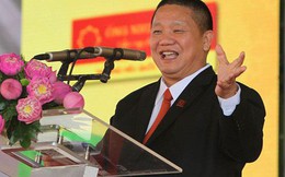 Từng bán đất thu hồi vốn, Hoa Sen Group vừa tăng sở hữu tại các công ty bất động sản