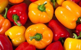 9 lợi ích đáng kinh ngạc của quả ớt chuông mang lại cho sức khỏe
