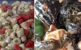 Dưa hấu xào chuối, da ếch... những món ăn kinh dị nhất ở canteen các trường ĐH Trung Quốc khiến sinh viên khiếp đảm