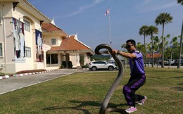 Kinh hoàng cảnh bắt rắn hổ mang chúa dài 5 mét bằng tay không