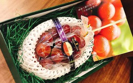 Những món ăn "đắt xắt ra miếng" giới nhà giàu Việt săn lùng trong Tết Kỷ Hợi