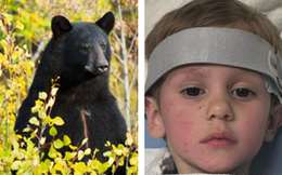 Bé 3 tuổi lạc trong rừng mưa lạnh suốt 2 ngày, khi được tìm thấy cậu nói "đã đi chơi với gấu" và mọi người tin câu chuyện này