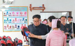 Triều Tiên sản xuất áo khoác... ăn được