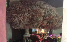 Khoe nhà có bát hương độc, thanh niên bị bóc mẽ vì vài lí do ít ai ngờ đến