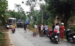 2 vợ chồng bị xe tải cán qua người sau khi đâm phải chó thả rông, ngã xuống đường