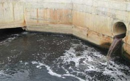 Xả thải vượt chuẩn ra môi trường, một doanh nghiệp ở Cà Mau bị phạt 360 triệu đồng