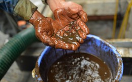Cận cảnh nước váng dầu ở bể ngầm chung cư cao cấp sau sự cố nước sạch sông Đà nhiễm dầu thải