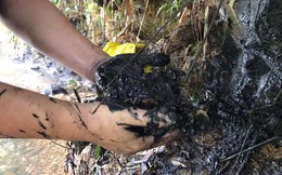 Vụ dầu thải gây ô nhiễm nước sông Đà:  Chủ tịch Công ty gốm sứ Thanh Hà thừa nhận có "con gái tên Trang"