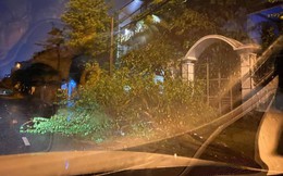 Bão đổ bộ trong đêm, cây ngã đổ la liệt, nhiều địa phương ở Phú Yên, Bình Định mất điện