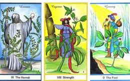 Rút 1 lá bài Tarot để biết may mắn và cơ hội nào sẽ ập đến với bạn trong tuần mới