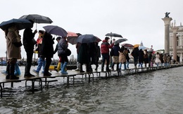 Venice "thất thủ" vì trận lụt tồi tệ nhất trong nửa thế kỷ