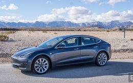 Xe Tesla đang chạy 100 km/h, chế độ tự lái Autopilot vẫn phanh kịp để cứu mạng đại gia đình vịt