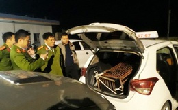 Chở gấu hơn 100kg từ Hà Tĩnh đi Nghệ An tiêu thụ bằng xe taxi