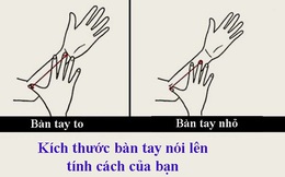 Kích thước bàn tay nói lên tính cách bạn: Người có ngón tay ngắn có thể rất giỏi lãnh đạo