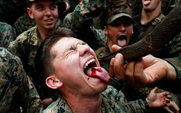 24h qua ảnh: Lính thủy đánh bộ Mỹ uống máu rắn hổ mang để "sống sót"